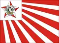 Flag of Itaguari