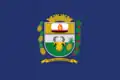 Flag of João Ramalho