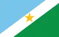 Flag of Porto Walter