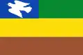 Flag of São João da Baliza