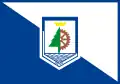 Flag of Salete
