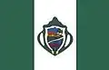 Flag of Santa Cruz do Arari