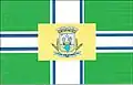 Flag of São José do Divino