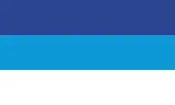 Flag of Pérez Zeledón