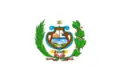 Flag of Tinco