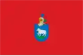 Flag of Ansoáin / Antsoain