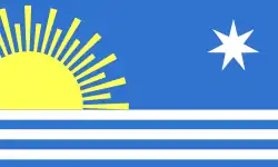 Flag of Araure