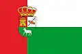Flag of Bolaños de Calatrava