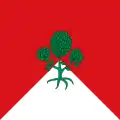 Flag of Bugedo
