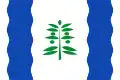Flag of Cinco Olivas