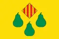 Flag of Daya Nueva