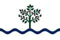 Flag of Móra d'Ebre