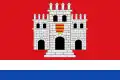 Flag of Montemayor