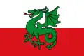 Flag of Navès