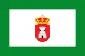 Flag of Toril