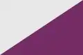 Flag of Torregamones, Spain