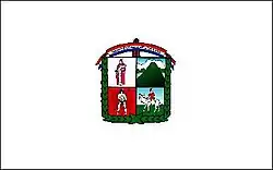 Flag of Lambaré