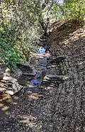 Barron Creek leaving its tunnel across Gunn High School, flowing into the open natural channel portion in Barron Park, Palo Alto