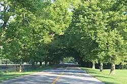 Barton Shore Drive