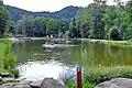 Pond in the botanical garden