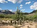 Bear Canyon Trail