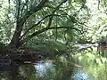 Beaver Creek and its watershed are being actively maintained.