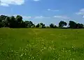 Upwood Meadows