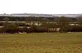 Bernwood Meadows
