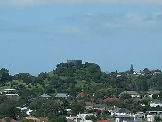 Big King from Mt Albert