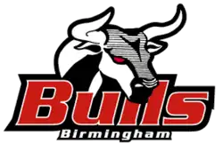 Team logo
