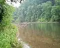 The Black Fork at Parsons