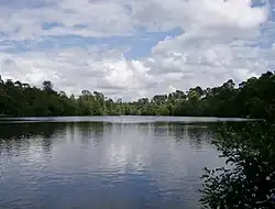 Black Park lake