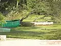 Boating in lake