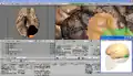 Downloaded BodyParts3D polygon data, edited with Blender.