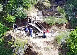 Bohemian Grove members during Spring Jinx Encampment