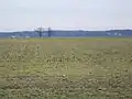 Fields in Bois Brule