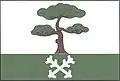 Flag of Borovnička