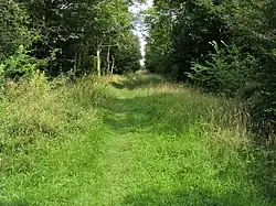 Brampton Wood