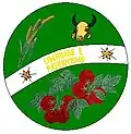 Coat of arms of Goianápolis