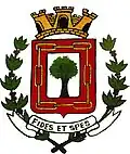 Coat of arms of São João do Pau d'Alho