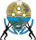 Coat of arms of São João d'Aliança