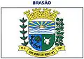 Official seal of Dois Irmãos do Buriti