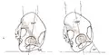 Nutation at left, counternutation at right