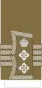 Colonel