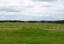Pair of bowl barrows 405&nbsp;m east of East Water Drove (Part of Priddy Nine Barrows Cemetery)