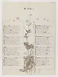 An illustrated page from Roadside Songs of Tuscany