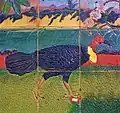Male brushturkey on tiles, Cooktown, Queensland