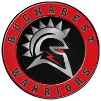 Team logo