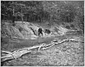 Potters Point, north shore of Caddo Lake, c. 1910