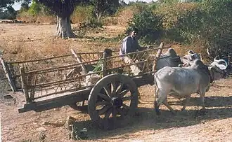 Arranged to contain a load